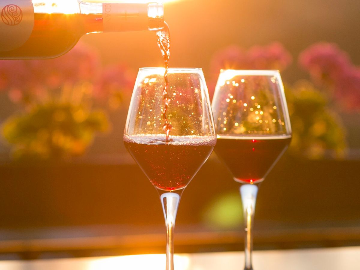 traverse city wine tours packages